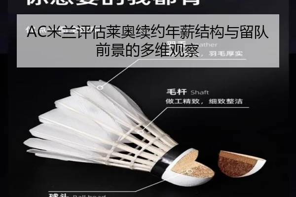 AC米兰评估莱奥续约年薪结构与留队前景的多维观察（kaiyun）